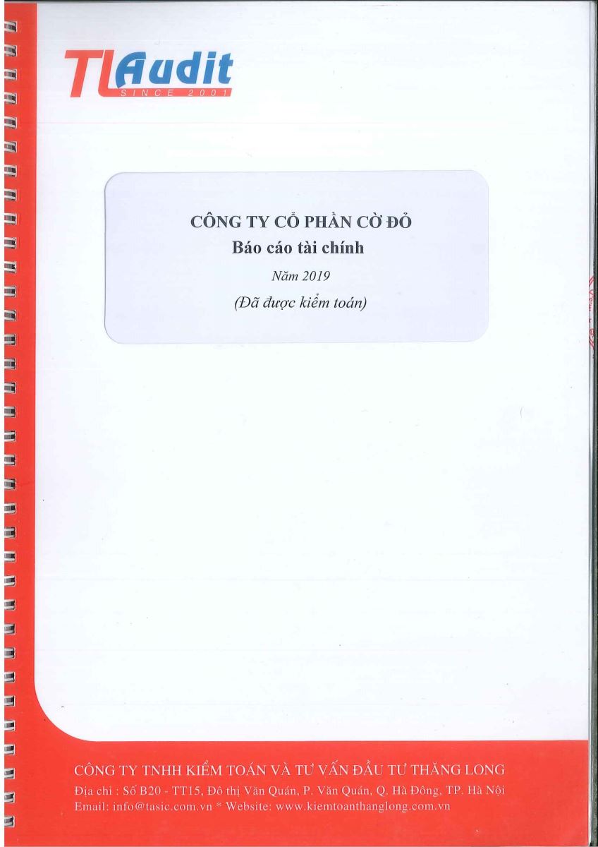 Báo cáo tài chính năm 2019